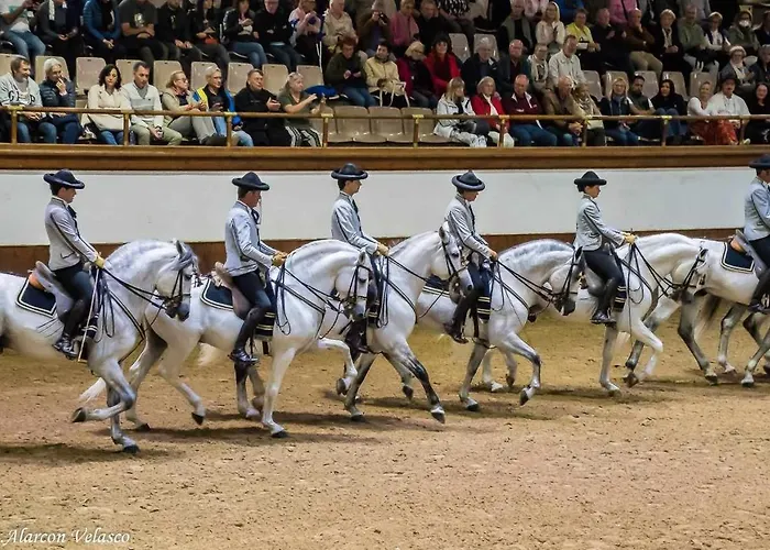 Vida En Centro De Jerez