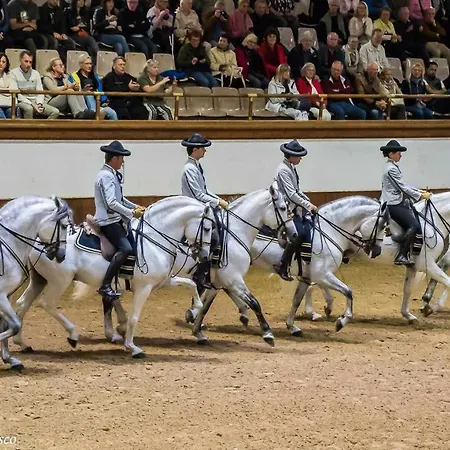 Vida En Centro De Jerez